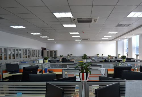 7只狗狗被偷后掉落高速公路，結(jié)伴“逃亡”17公里成功返家！主人發(fā)聲：萬幸能回來，沒被別人吃了:廊坊市捷德電子科技有限公司口碑